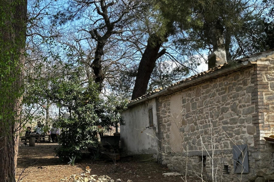 Con loro l'avvocata Solinas e un'interprete. Alle 12.30 appuntamento a Palazzo Giustiniani