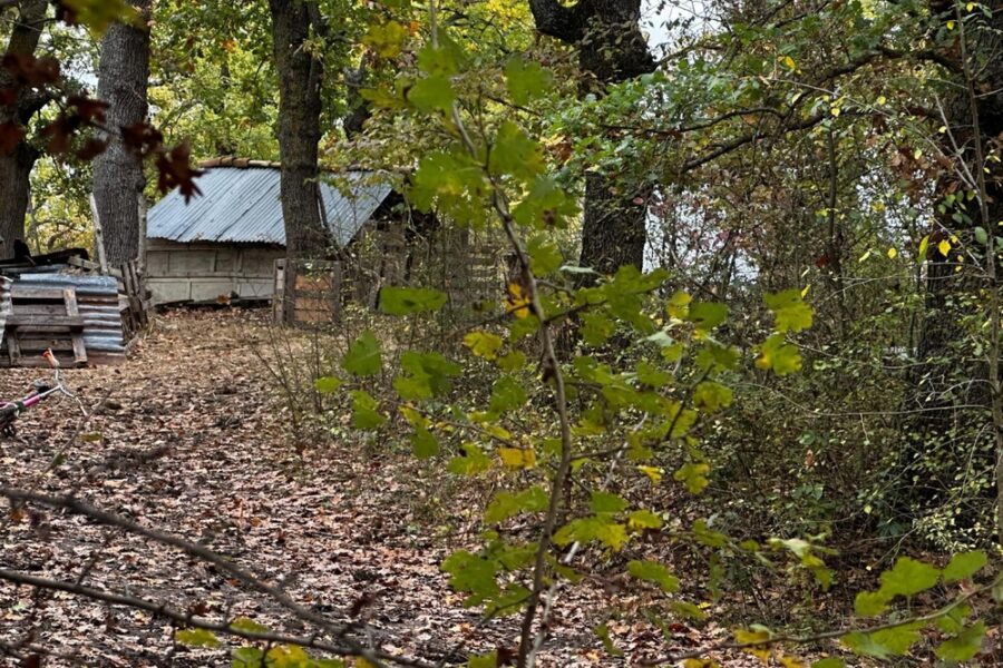 'Auspico si giunga al più presto a soluzione giusta