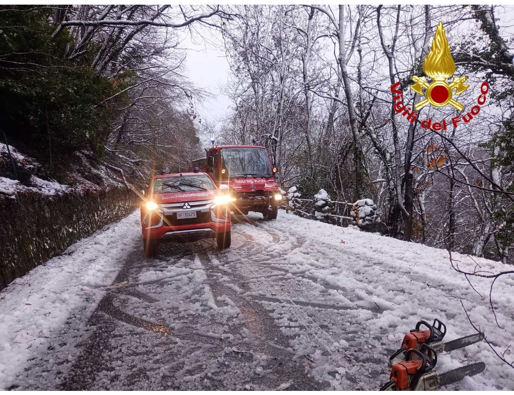 Forte nevicata nel Varesotto, incidenti stradali e piante cadute