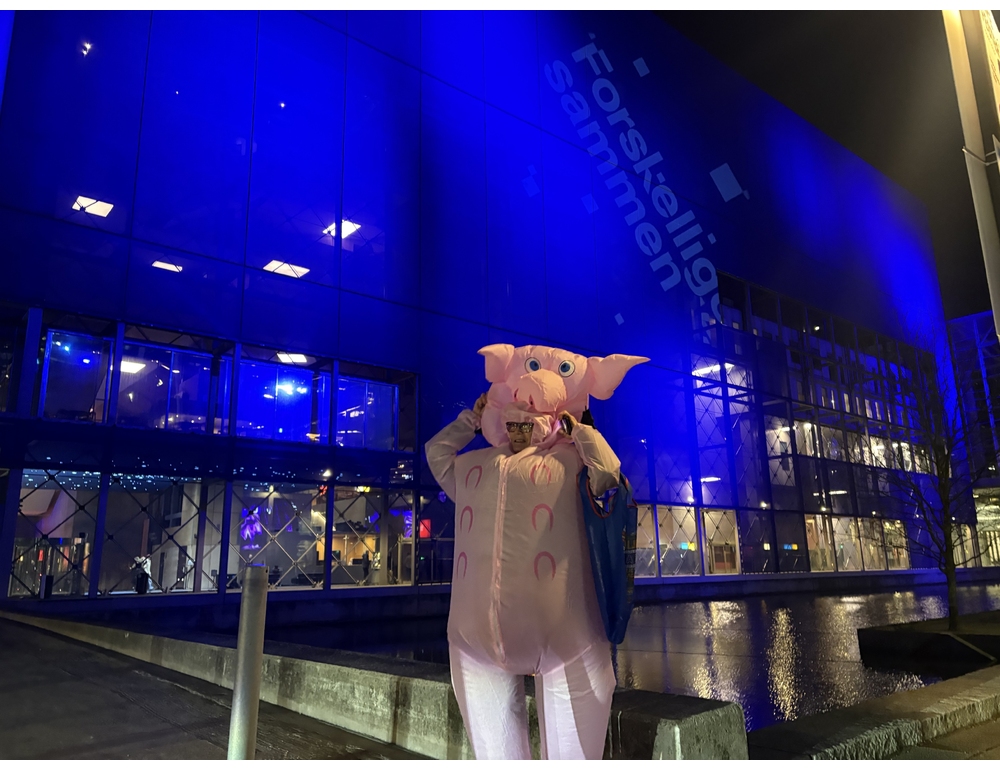 I maiali uno dei temi centrali e più divisivi nel voto in Danimarca