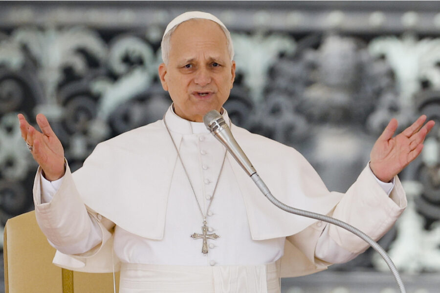 Il nuovo appello di Leone all'udienza generale