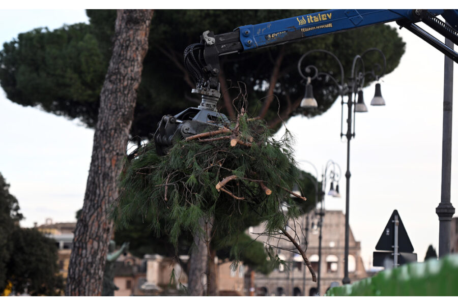 'Scongiurare rischi incolumità'. Ricorso proposto da associazione e cittadini