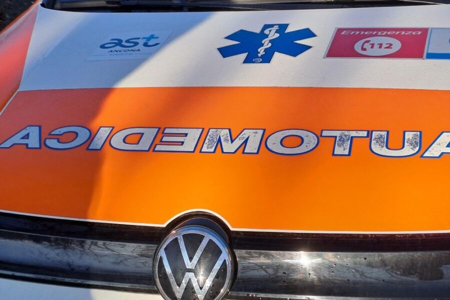 In una azienda del Salernitano per la produzione di ovatta