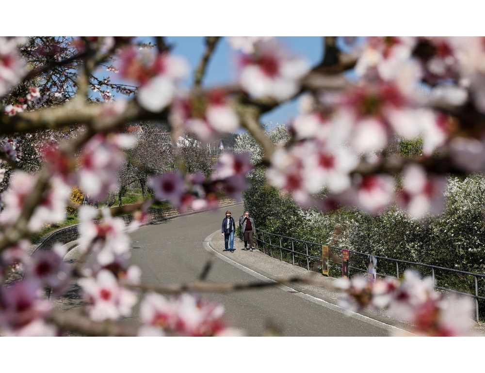 Inizio settimana soleggiato con isolati piovaschi tra Calabria e Sicilia