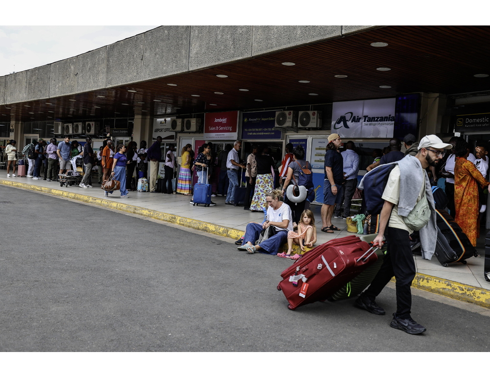 Kenya, cittadino cinese arrestato per contrabbando di formiche