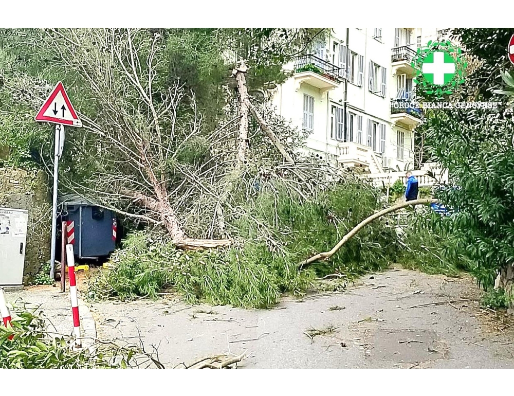 Maltempo: Protezione Civile, domani allerta gialla in nove regioni