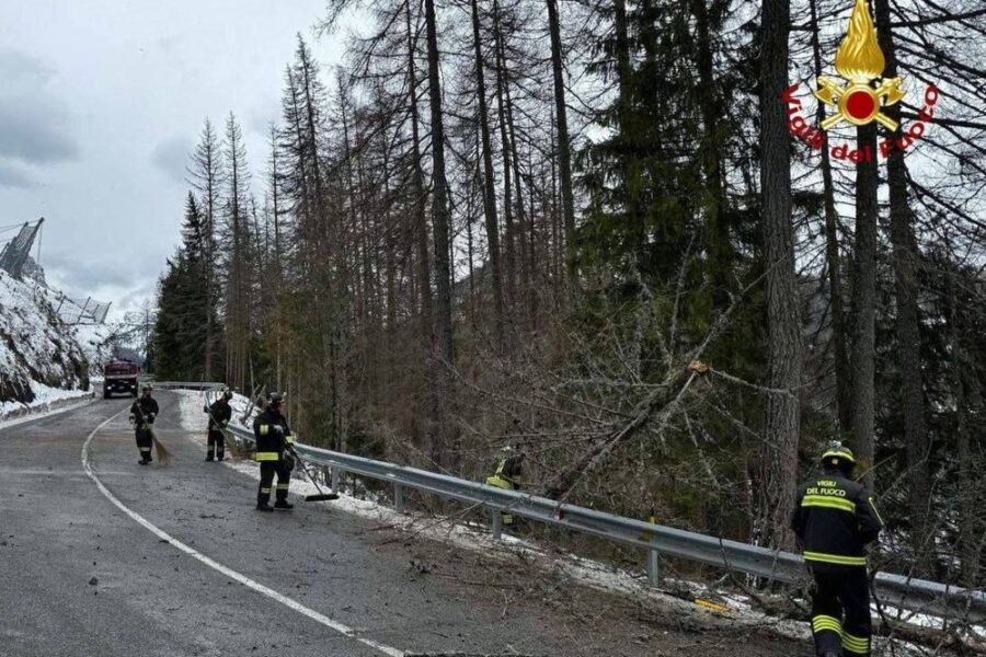 Soprattutto danni da vento e alberi abbattuti