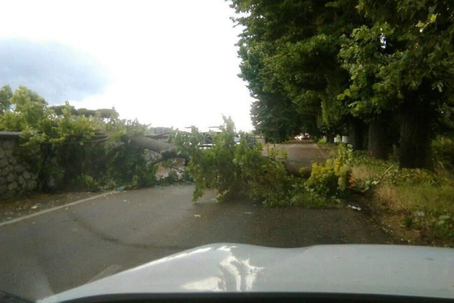 Dalle 7 alla mezzanotte di domani