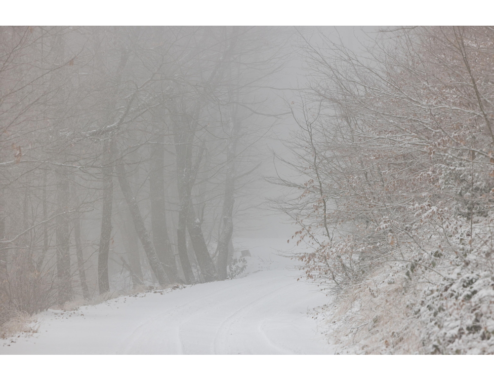 Referendum, nel paese bloccato dalla neve votano in 15 e vince il Sì