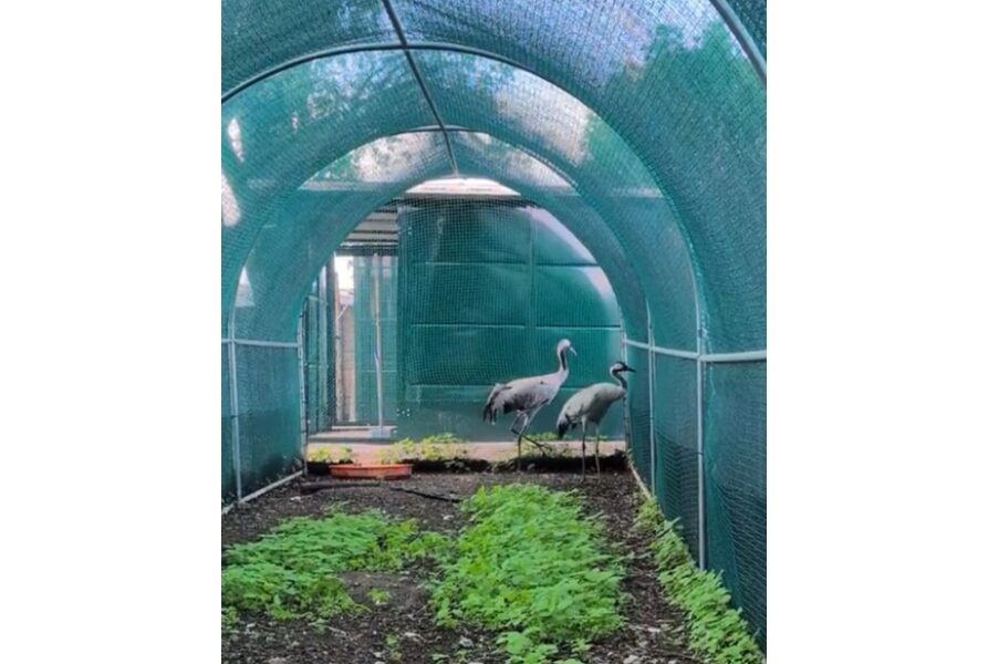 Cadute a causa del maltempo in Penisola sorrentina