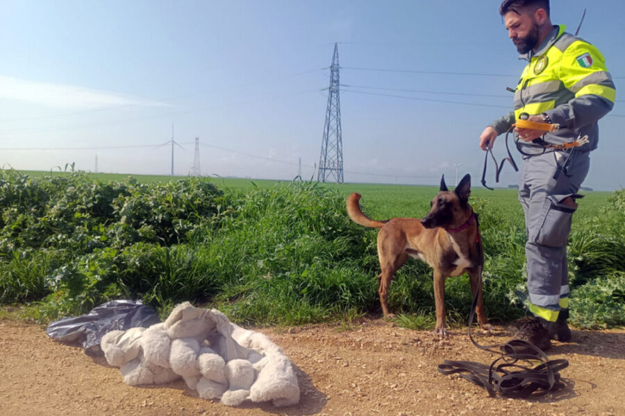 Dopo dieci giorni di ricerche nessuna traccia della 21enne