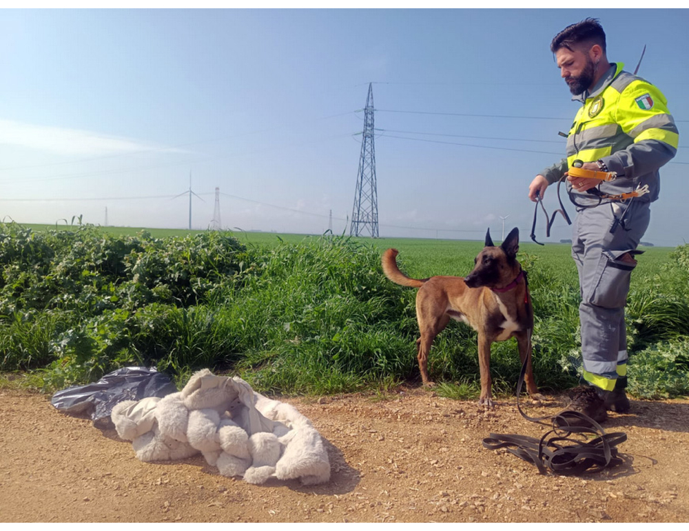 Scomparsa nel Foggiano, si cerca anche nei pozzi e nei casolari