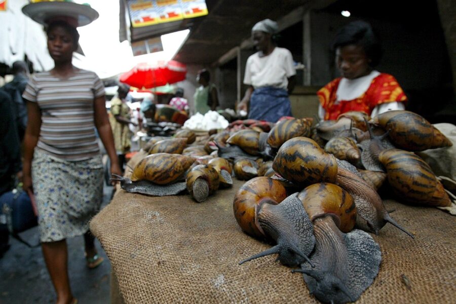 Presenta risoluzione: 'Tratta transatlantica il più grave crimine contro l'umanità'