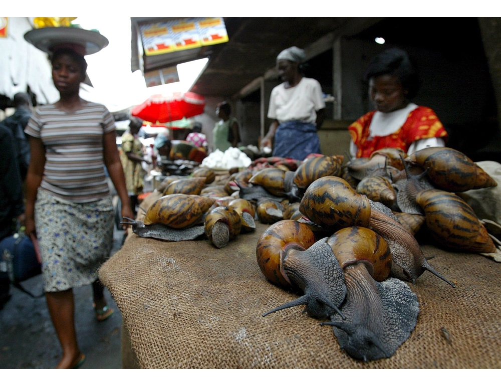 Storico voto all’Onu, il Ghana chiede un risarcimento per la schiavitù