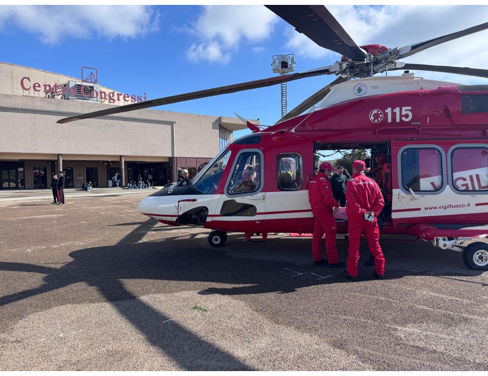 Vigili del fuoco salvano cane di 70 chili caduto in scarpata da 4 giorni