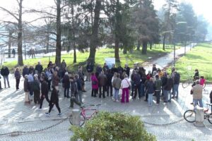 Ciliegi dei Giardini a Lago. La battaglia bipartisan contro il sindaco: “Scelta insensata”