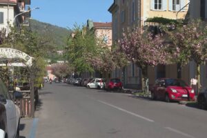 Ciliegi di Como, giallo sulle firme irregolari. Il comitato prende le distanze: “Noi danneggiati”