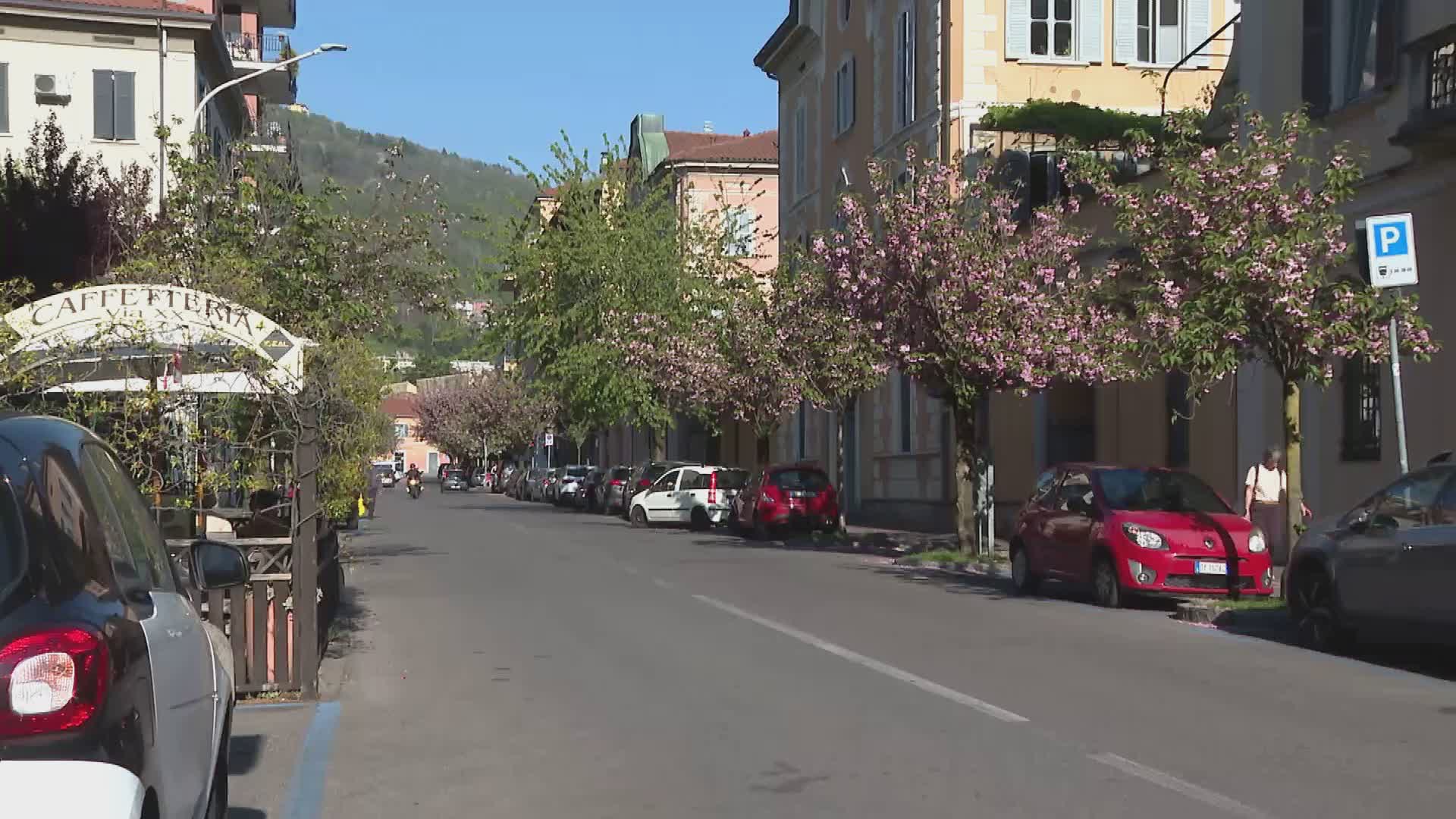 Ciliegi di Como, giallo sulle firme irregolari. Il comitato prende le distanze: “Noi danneggiati”