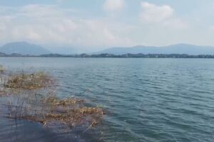 L’inquinamento del Lago di Pusiano, il Circolo “Ilaria Alpi”: “Le istituzioni si attivino per trovare soluzioni”