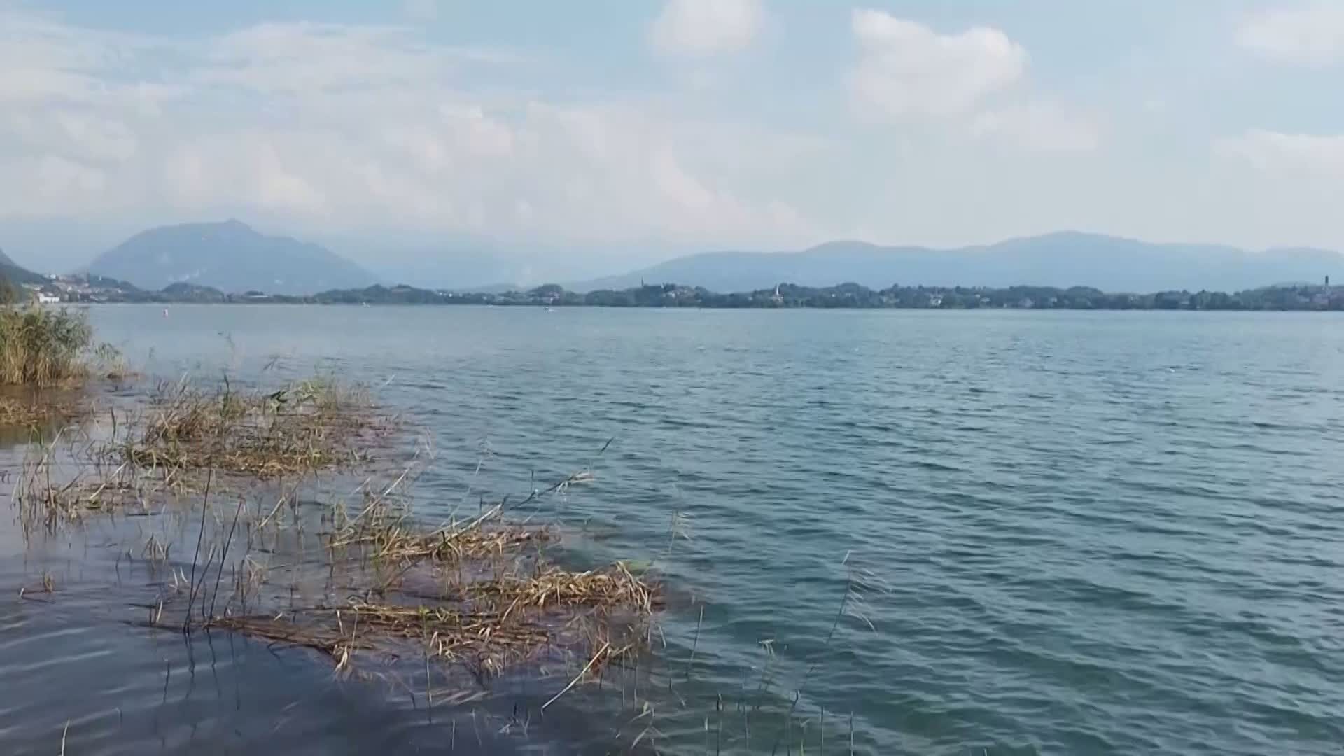 L’inquinamento del Lago di Pusiano, il Circolo “Ilaria Alpi”: “Le istituzioni si attivino per trovare soluzioni”