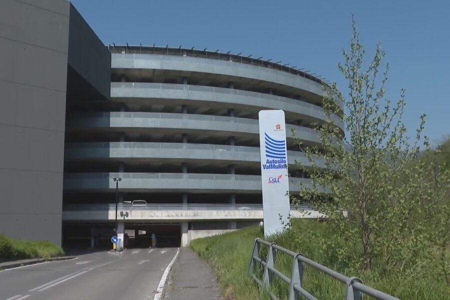 7705 Rilancio dellautosilo Valmulini Lavatelli Deve avvenire in un piano organico 1776247348