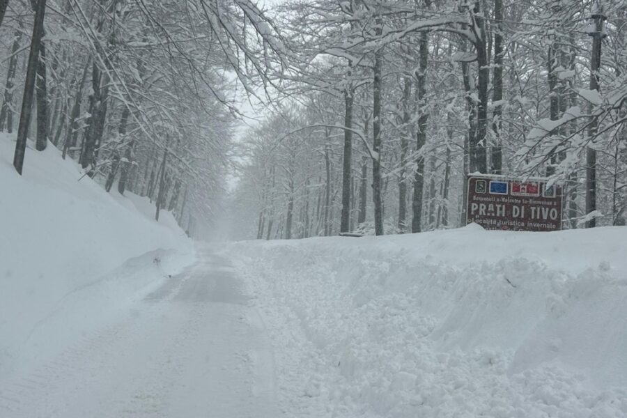 L'appello in vista delle festività di Pasqua
