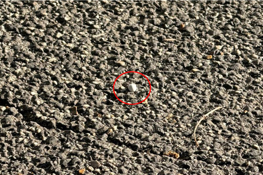 Incastrato dalle immagini delle telecamere