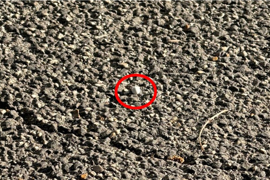 Contestato anche il reato di detenzione di armi