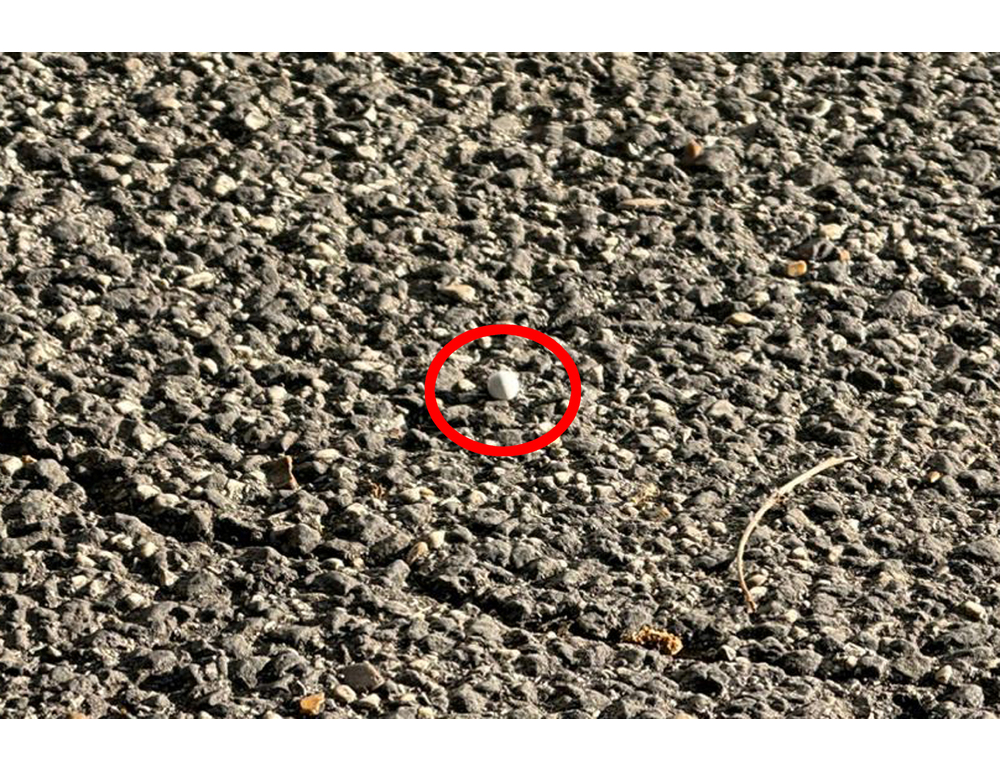 25 aprile, per gli spari a Roma 21enne fermato per tentato omicidio