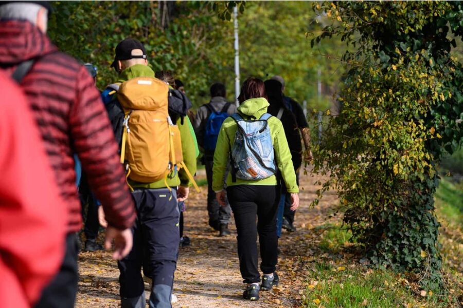 Santori (Territorio Turistico Bologna-Modena)