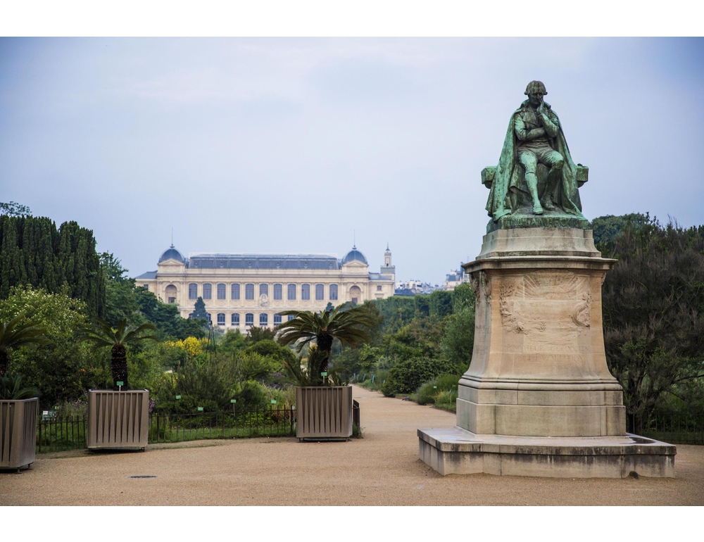 A Parigi allarme per il Museo di Storia Naturale, ‘siamo in uno stato catastrofico’