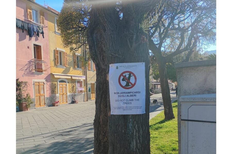 I sestresi "sindaco pensa che siamo scimmie". Cartelli divieto con spiegazione