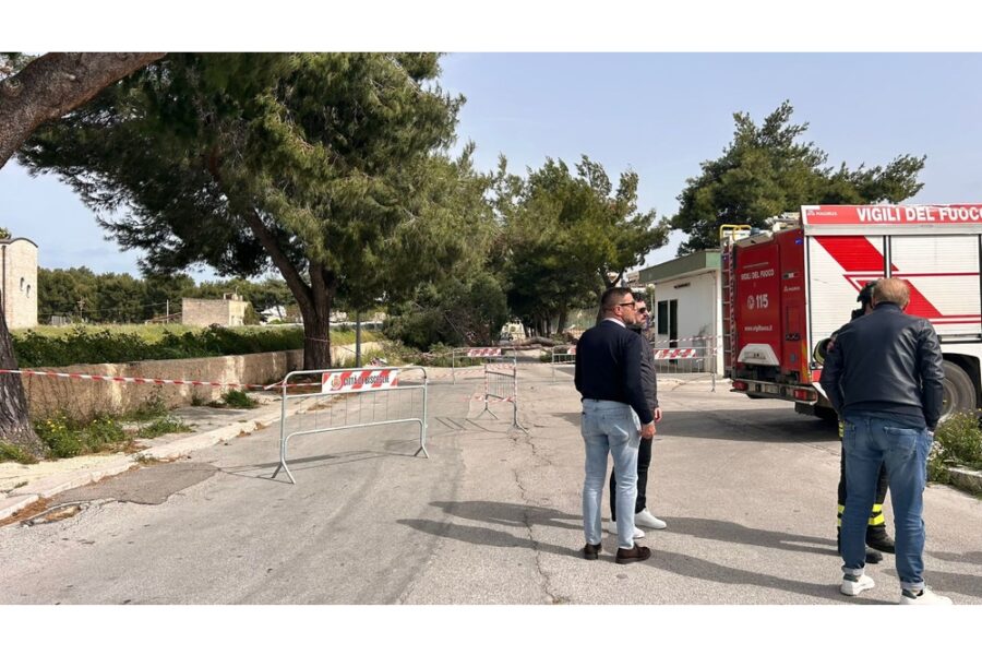 La adolescente colpita in strada da un grosso tronco