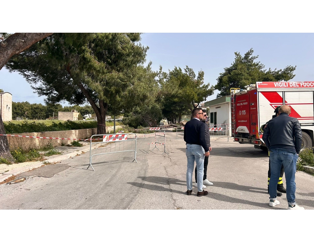Albero cade per il vento a Bisceglie, muore ragazzina 12enne