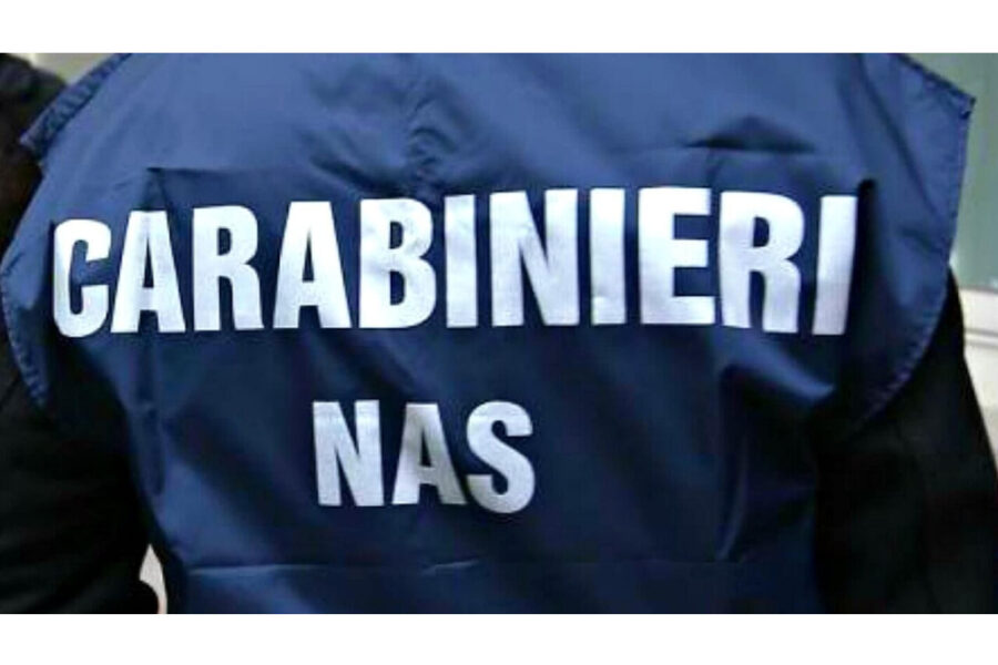 Esclusa la presenza di corpi estranei nelle uova pasquali esaminate