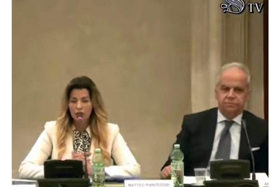 La giornalista all'ANSA