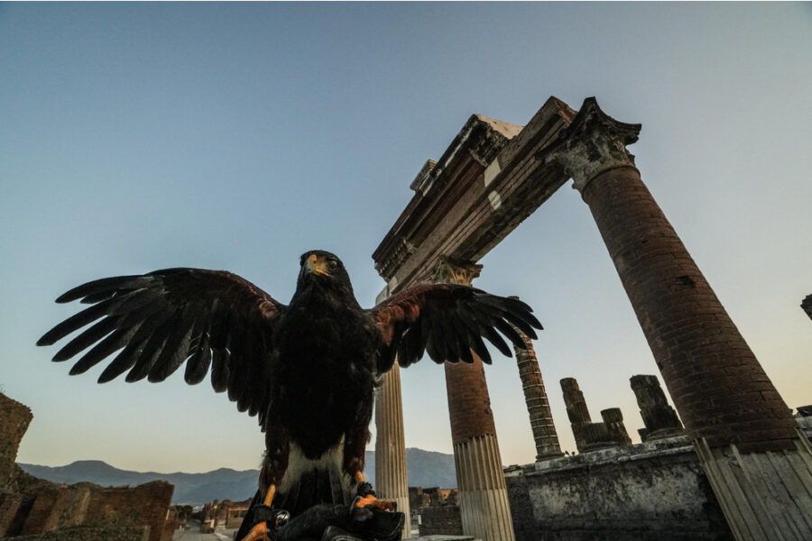 Da pipistrelli a piante lo studio dei ricercatori italiani su People and Nature