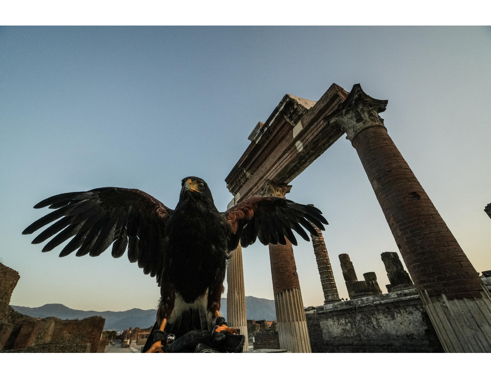 Cnr, i siti archeologici santuari viventi della biodiversità
