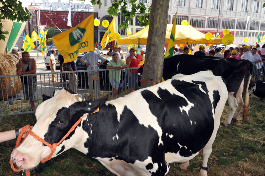 Additivi per il letame