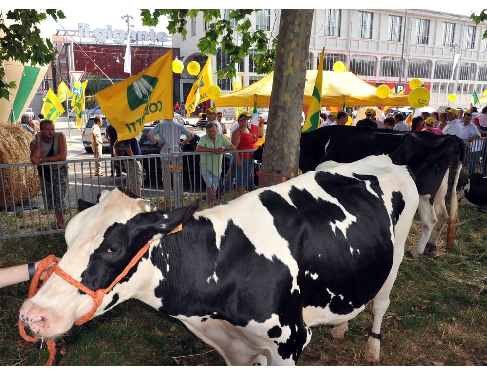 Coldiretti Torino e Università insieme per la ricerca sulla qualità dell’aria