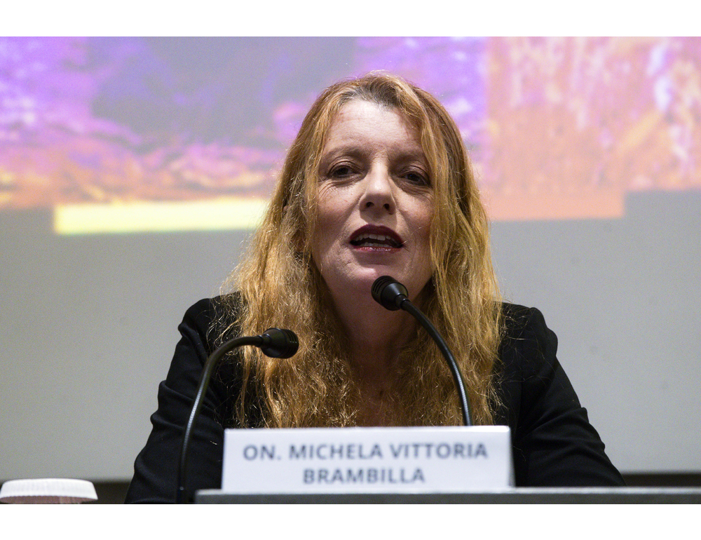 Commissione Infanzia, ragazzi protagonisti di un’audizione in Parlamento