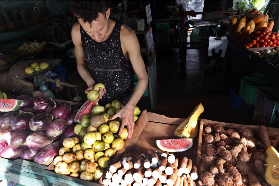 Finora era monopolio statale. Nuovo regolamento in Gazzetta Ufficiale