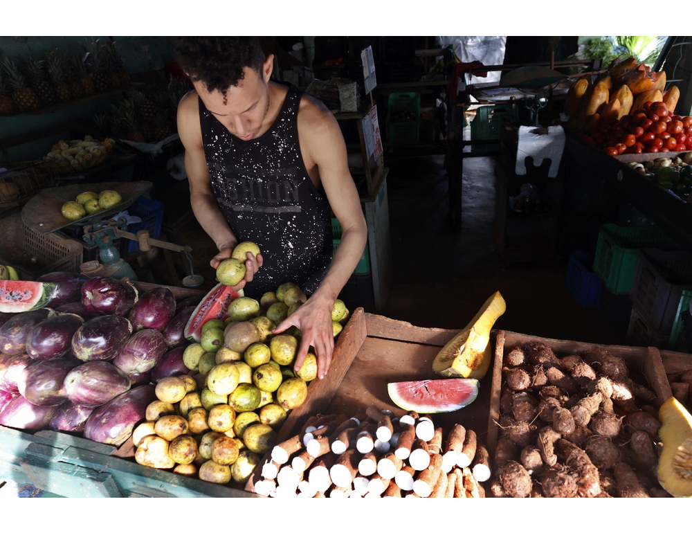 Cuba apre il commercio dei prodotti agricoli al settore privato