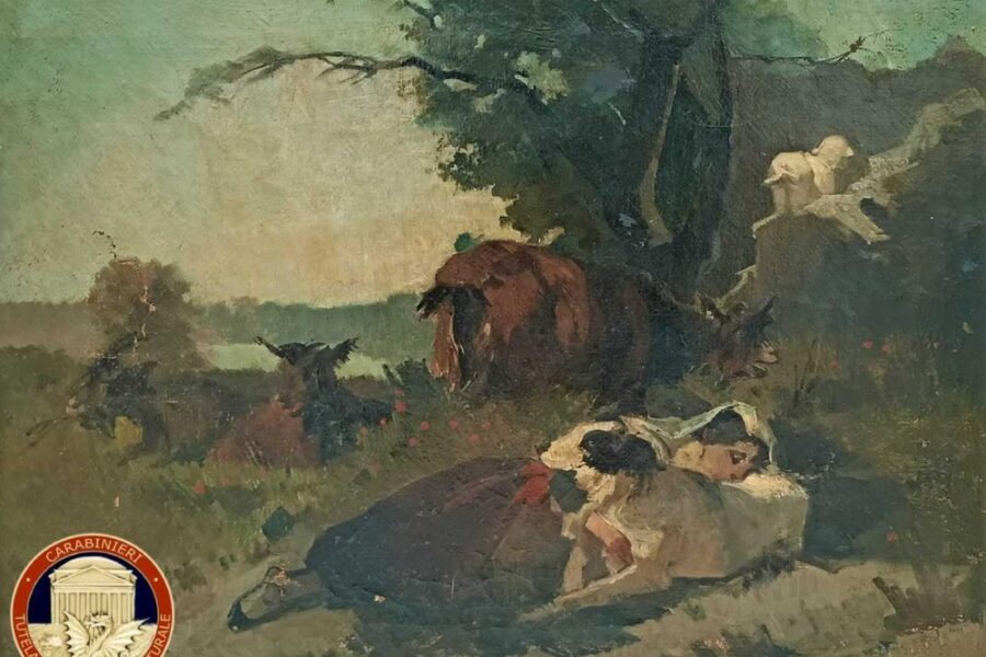 Scoperto dai carabinieri del nucleo Tpc di Torino