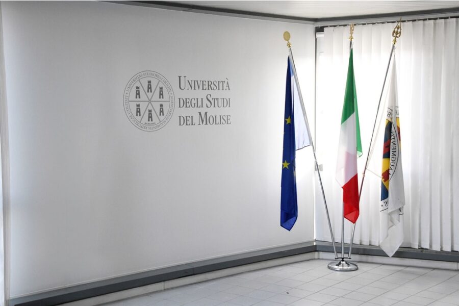 Didattica a distanza