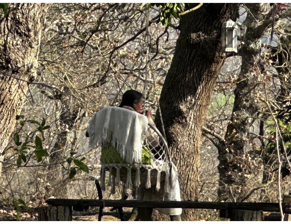 Famiglia nel bosco, Catherine e Nathan tornano nel casolare