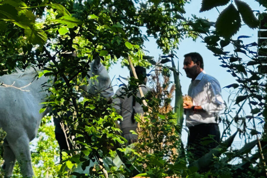 Il vicepremier a Palmoli 'per me già una settimana era troppo. Ora anche basta!'