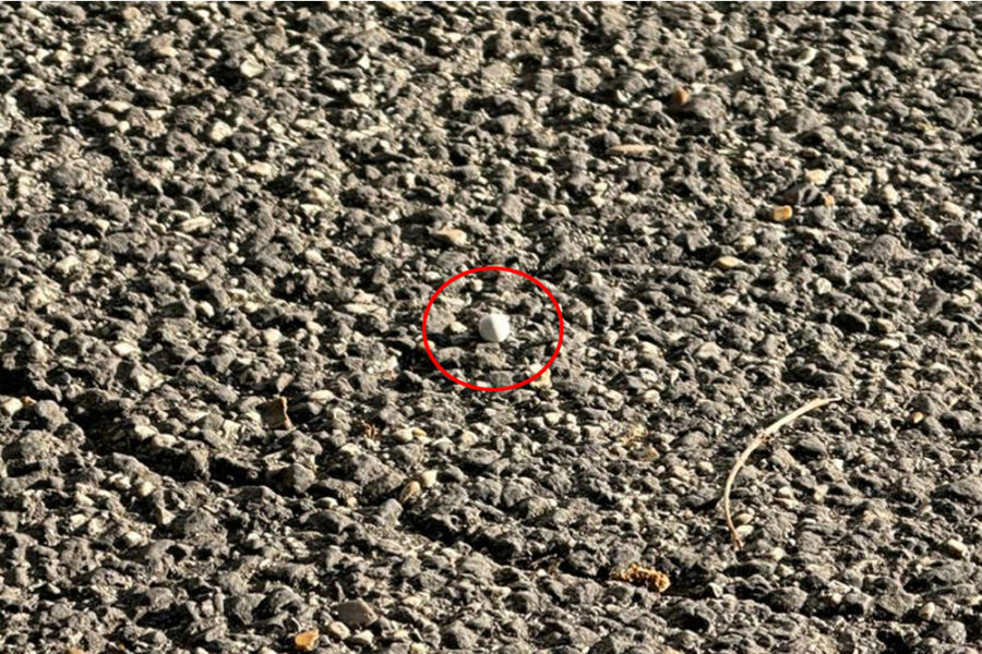 Rossana Gabrieli: 'Gratitudine agli inquirenti