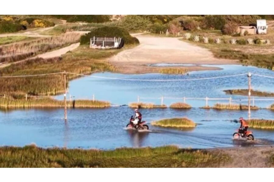 Oltre 40 automobilisti multati a Porto Cesareo per aver parcheggiato sulle dune