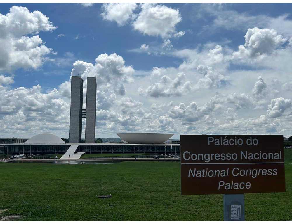 Il Brasile punta su un’azienda statale per lo sfruttamento delle terre rare